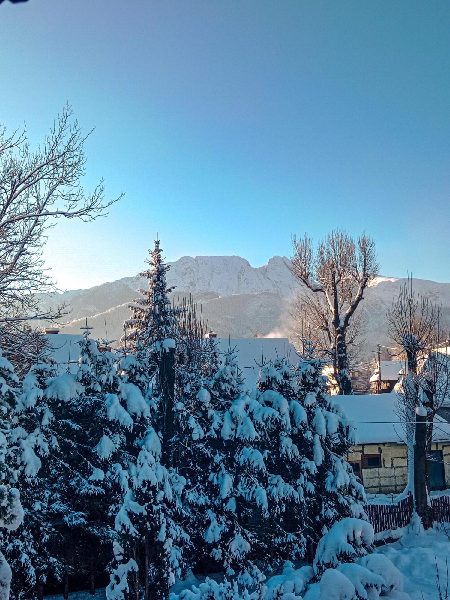 Wynajem Pokoi Goscinnych Zakopane Exteriér fotografie